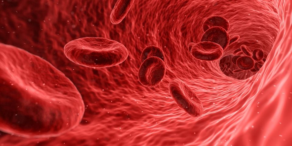 Bloedtransfusie: wat moet je weten?